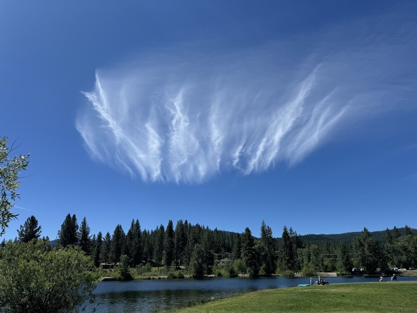 Feather Clouds